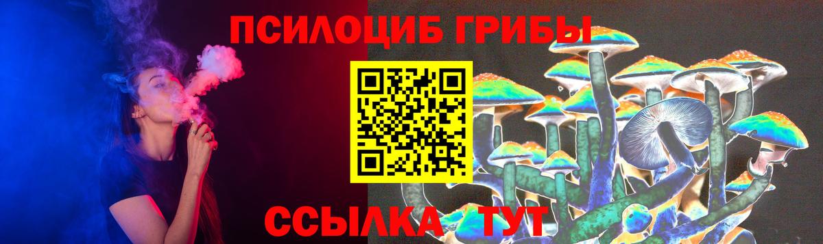 Кропоткин  Галлюциногенные грибы ЛСД  Вход с VPN  Псилоцибиновые грибы MAGIC MUSHROOMS 